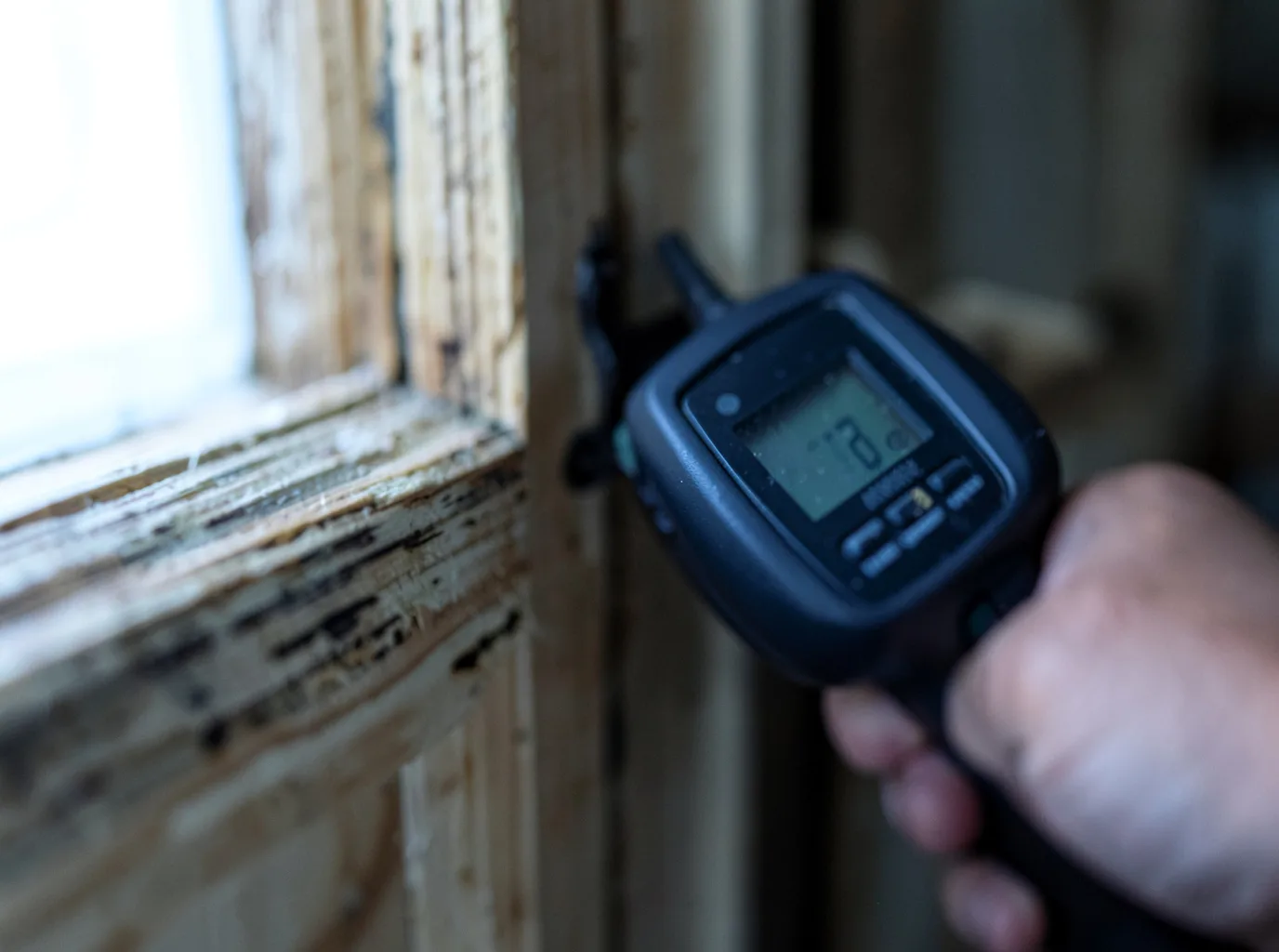 Commercial Water Damage Restoration in Worland, WY